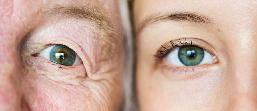 Creazione sito web Badante Digitale, sito internet completamente aggiorabile CMS WordPress