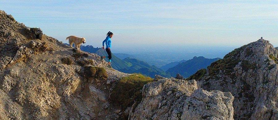 Creazione sito web piani artavaggio