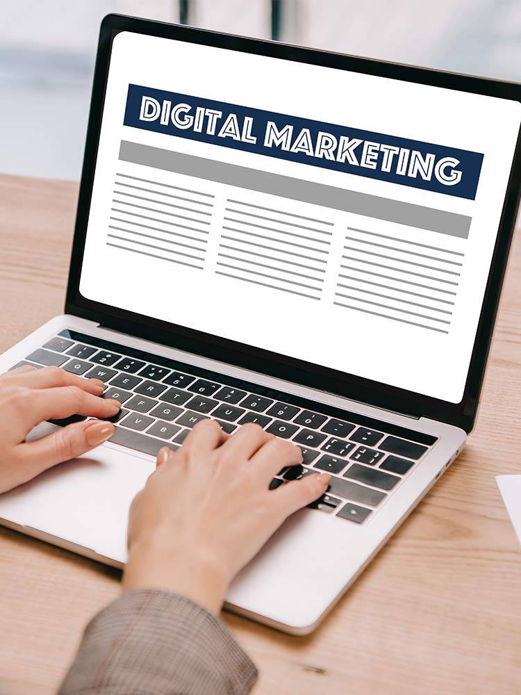 immagine aziendale online alimedia agenzia comunicazione