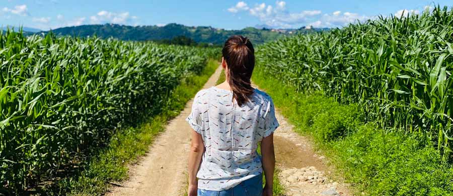 realizzazione e commerce wanessa abiti